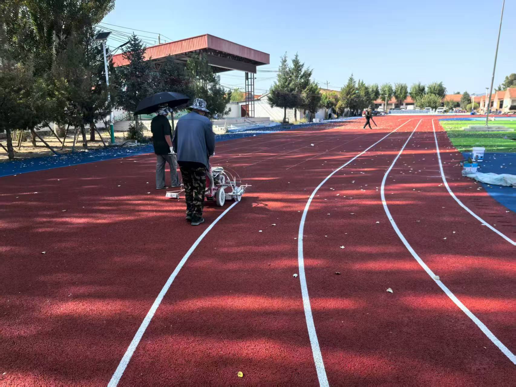 岳阳市EPDM塑胶跑道硅PU材料 - 推荐